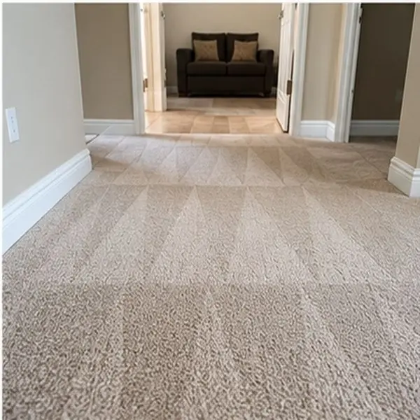 Carpet cleaning results in Yarraville VIC